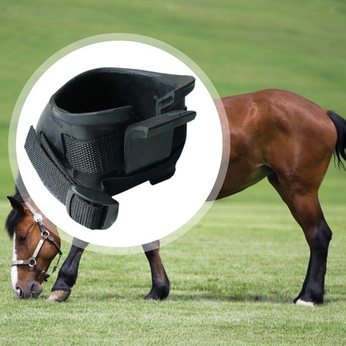 Horse hoof boots - horse, equine