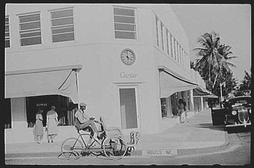 Palm beach florida 1939 - palm,