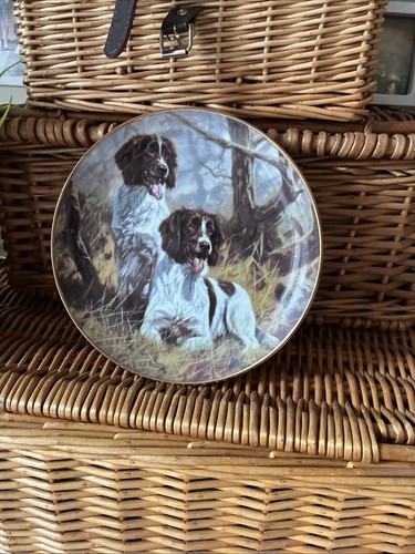 Porcelain deceptive plate - plate, the