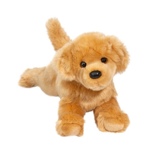 Douglas bella golden retriever - douglas,