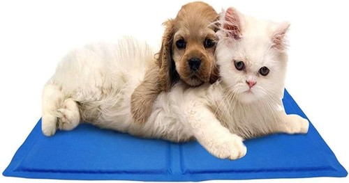 Crufts 40cm 30cm self - crufts, x