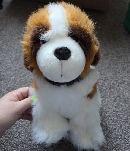Saint bernard puppy dog - saint,