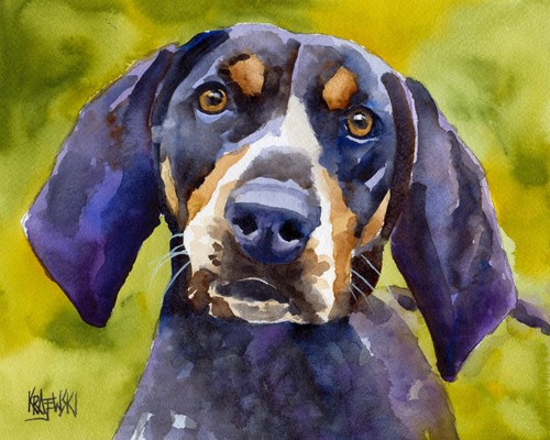 Bluetick coonhound print - print, of