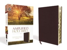 Amplified Holy Bible, Bonded