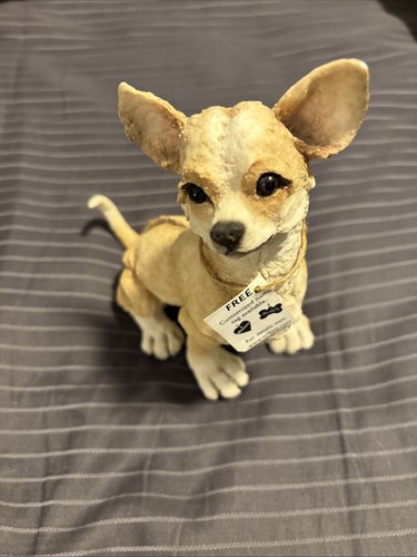 Breed apart 2001 - apart, chihuahua