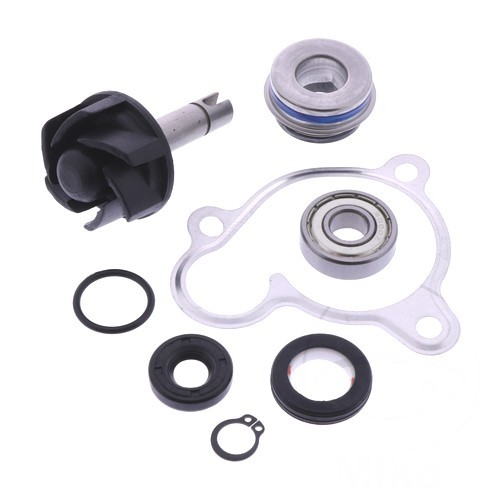 Water pump repair - repair, kit