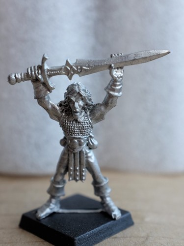 Elf champion aneirin - elf,