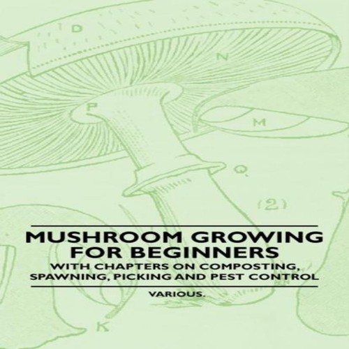 Mushroom growing for beginners - mushroom,