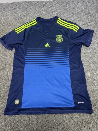 Fenerbahce 2015 third - fc, 2015/16