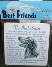 Lovely Irish Setter Coaster