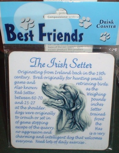 Lovely irish setter coaster - irish,