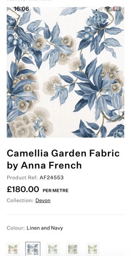 Anna french camellia - anna, garden