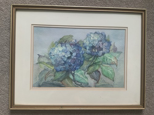 Hydrangea floral still life - still,
