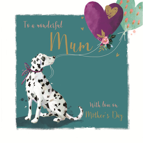 Wonderful mum dalmatian dog - wonderful,