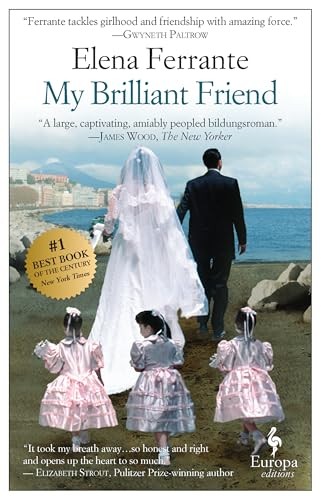 Brilliant friend a novel - my,