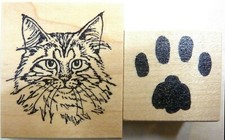 Maine Coon Cat Face and Paw