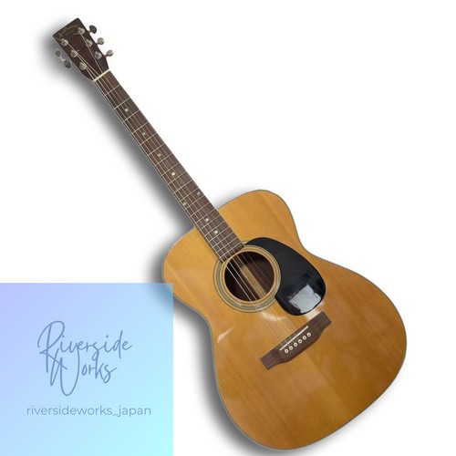 Aria acoustic guitar - aria,