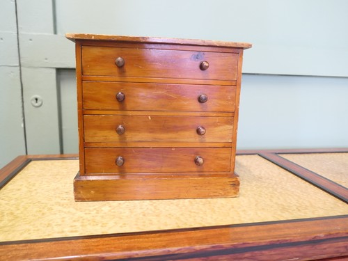 Butterfly collectors cabinet - butterfly,