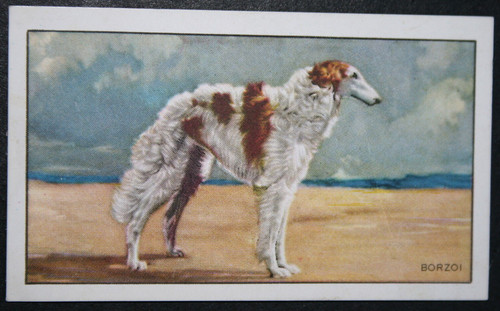 Borzoi vintage 1936 - borzoi,