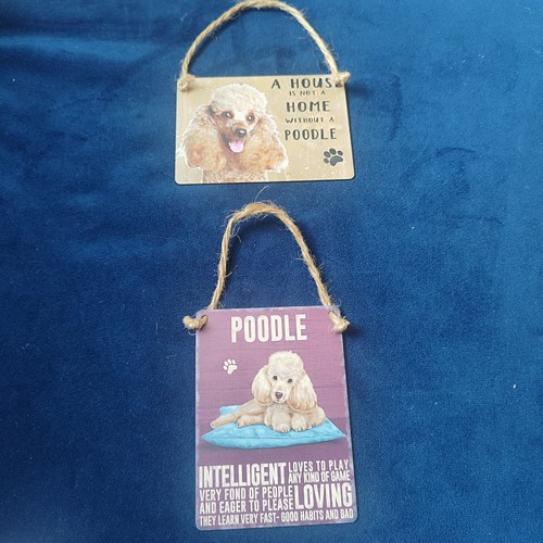 Bundle mini apricot poodle - x2,