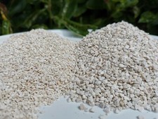 100% ARAGONITE CORAL SAND
