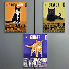 Black Cat, Ginger Cat or Black