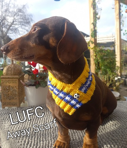 Leeds united themed away scarf - themed,