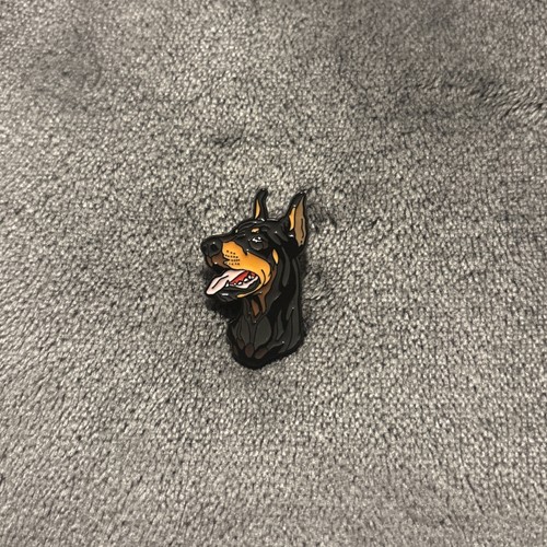 Doberman dog breed pet - dog,