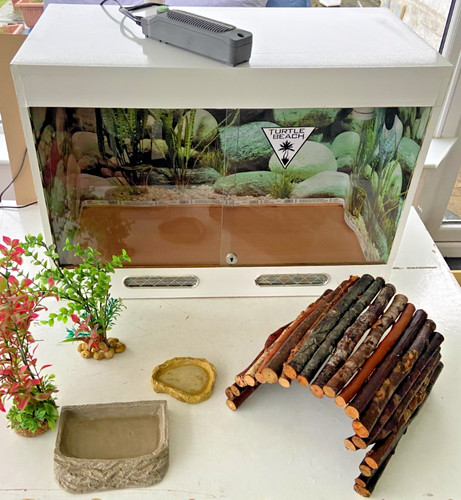 Wooden reptile vivarium turtle