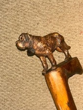 Antique Walking Stick Cane - Intricate Hand Carved St Bernard Dog Handle