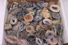 Oco Geode 1 Lb Lot Natural