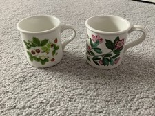 Portmeirion Botanic Garden And