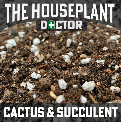 Cactus succulent potting mix - &,