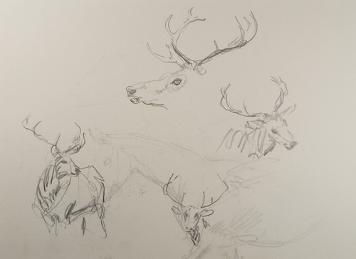 Original pencil sketch - original,