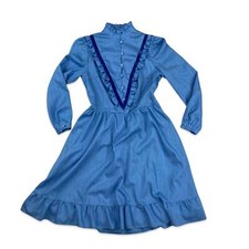 Vintage 70s Blue Prairie