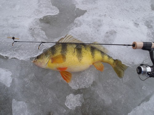 Hardwater cutoms croix - cutoms, st