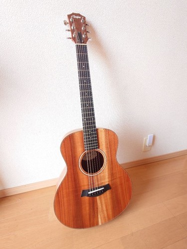 Taylor mini koa - gs, 2022