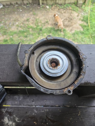1995 1996 yamaha big - 1995–1996, bear