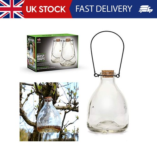 Set wasp trap - set, catcher