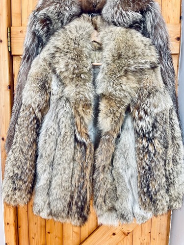 Vintage canadian coyote - vintage,