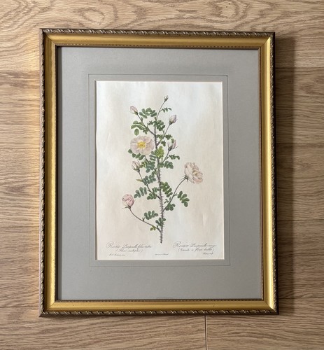 Vintage pierre joseph - vintage, pierre-joseph