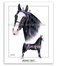 TENNESSEE WALKER walking HORSE