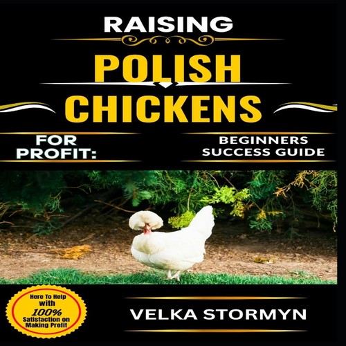 Raising polish chickens - raising,