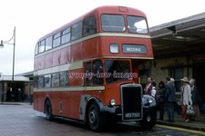 pu3664 - Ex Warrington Corp