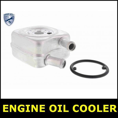 Engine oil cooler for - oil, vw