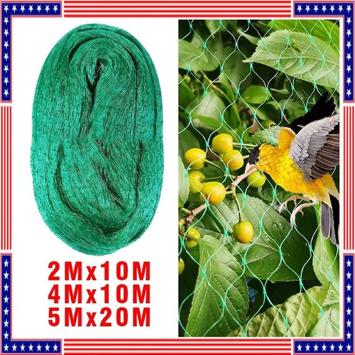 Anti bird netting - bird, net