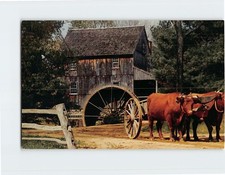 Postcard A Yoke of Durham Oxen with Old Ox-Cart Old Sturbridge Village MA