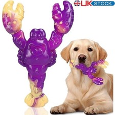 Indestructible Dog Toys for