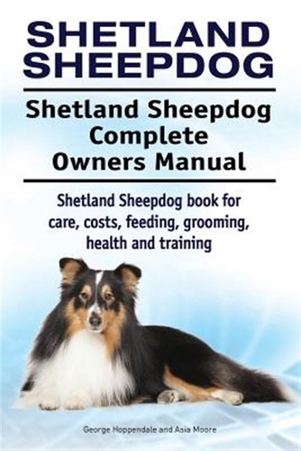 Shetland sheepdog - shetland, sheepdog.