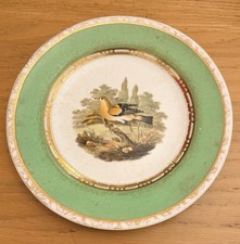 Antique Spode “Bramling”
